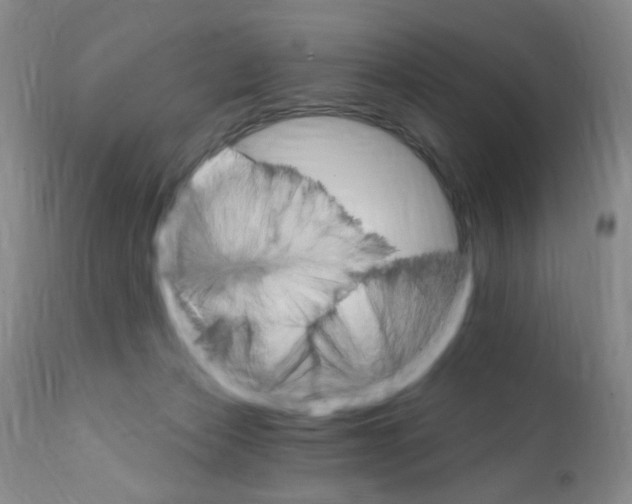 X0000111800173200909031237