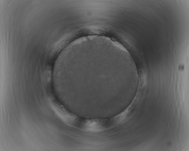 X0000111800174200909031237