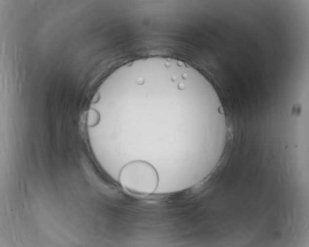 X0000111800175200909031237