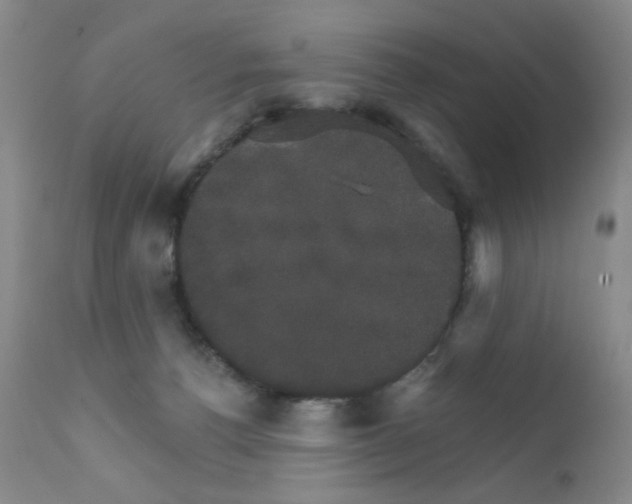 X0000111800176200909031237