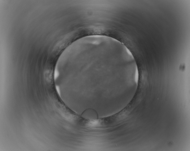 X0000111800177200909031237