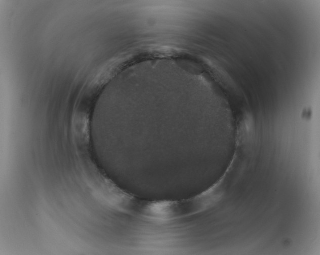 X0000111800178200909031237