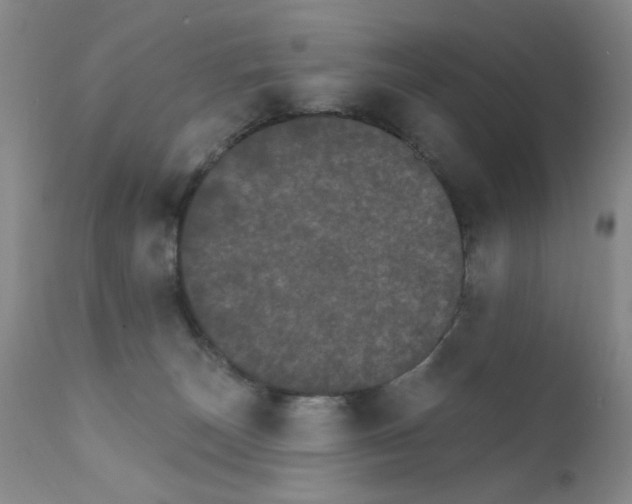 X0000111800179200909031237