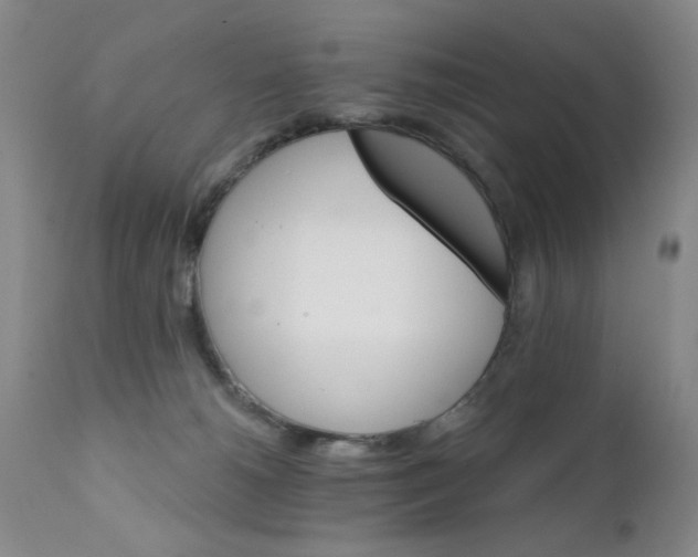 X0000111800180200909031237