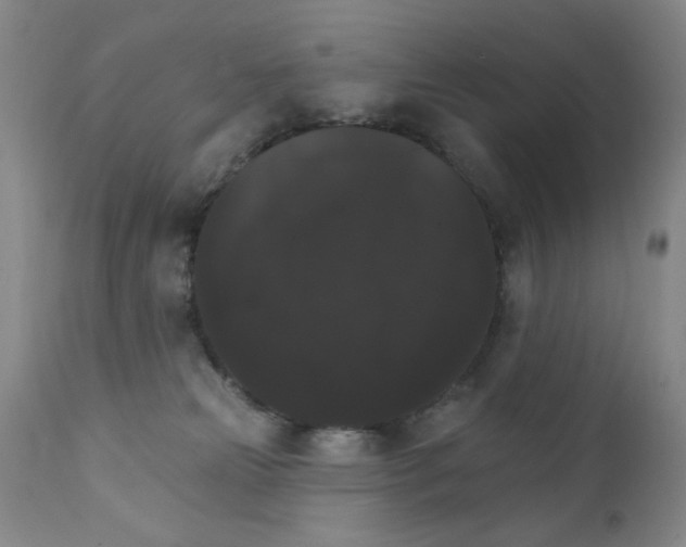 X0000111800181200909031237