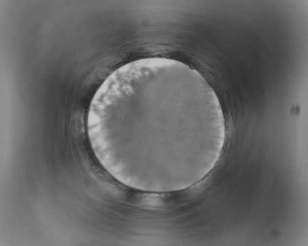 X0000111800182200909031237