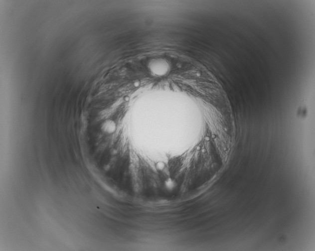 X0000111800183200909031237