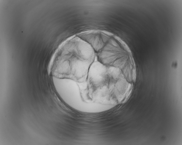 X0000111800185200909031237