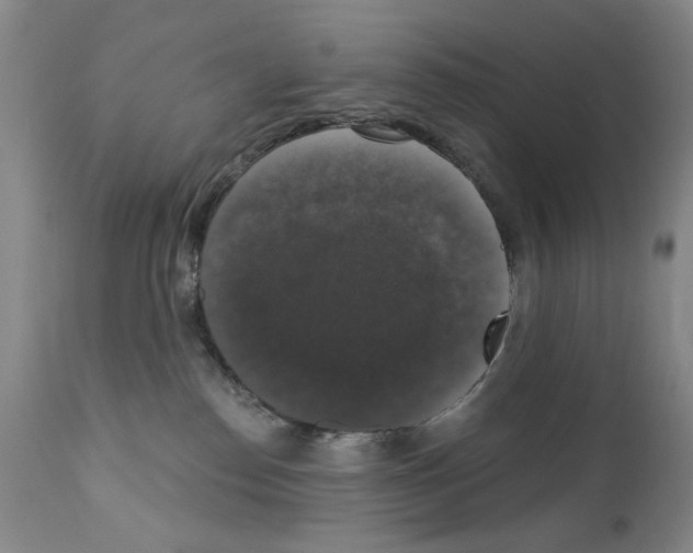 X0000111800186200909031237