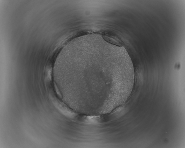 X0000111800188200909031237