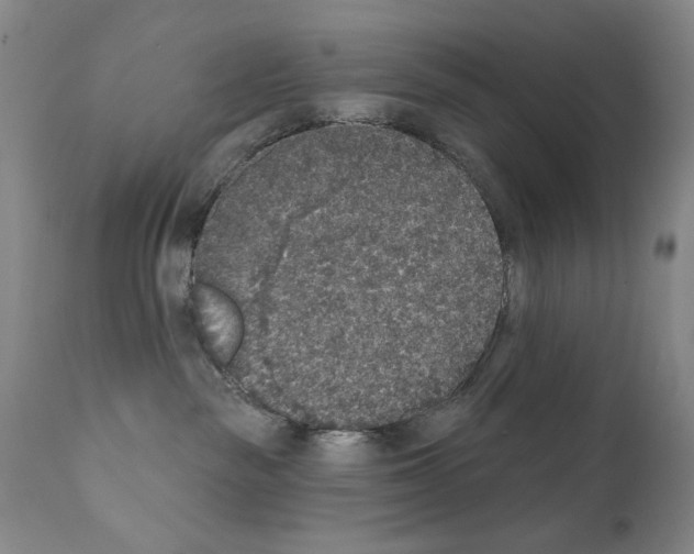 X0000111800189200909031237