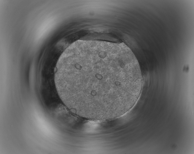 X0000111800190200909031237