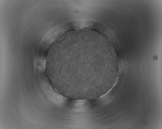 X0000111800191200909031237