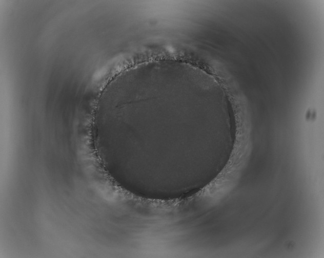 X0000111800192200909031237