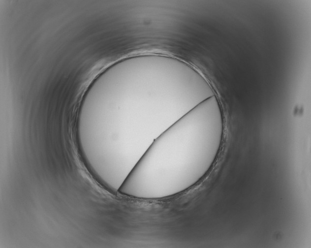 X0000111800193200909031237