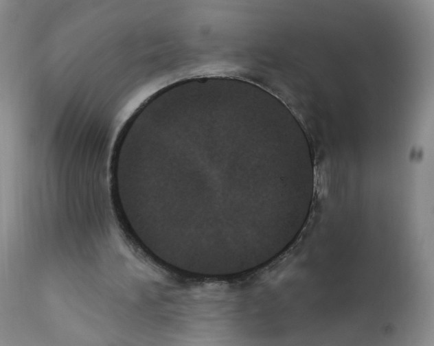 X0000111800196200909031237