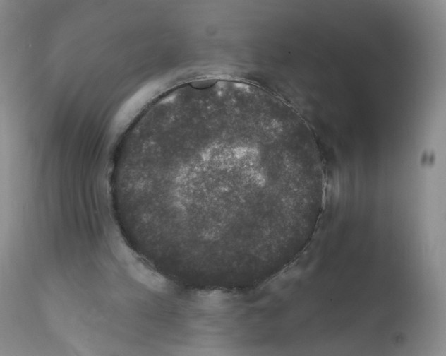 X0000111800197200909031237