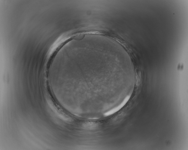X0000111800198200909031237