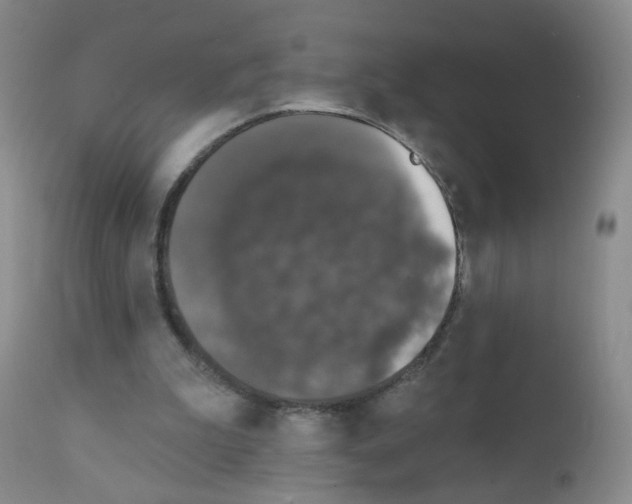 X0000111800199200909031237