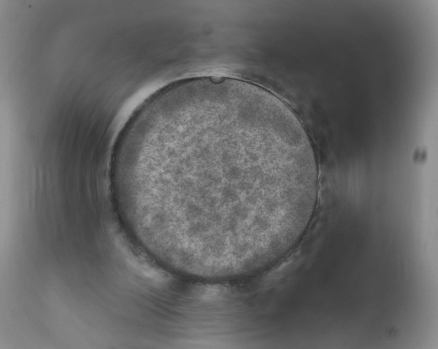 X0000111800200200909031237