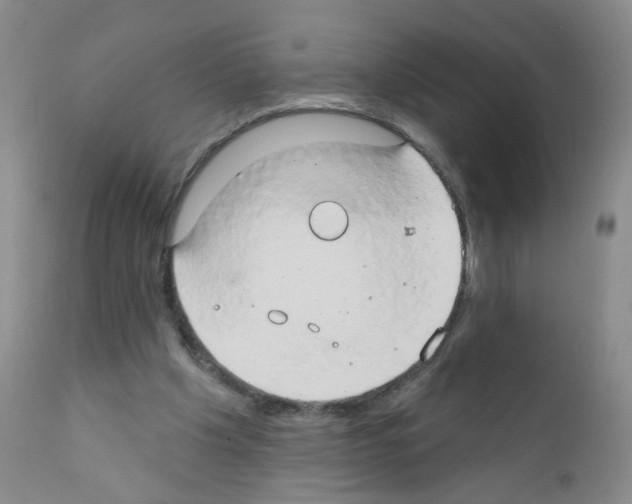 X0000111800201200909031237