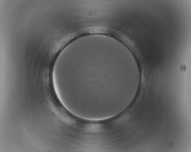 X0000111800202200909031237