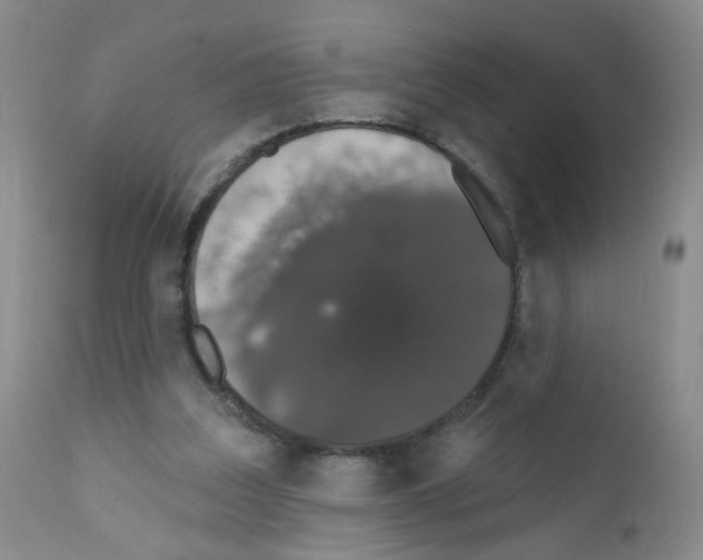 X0000111800203200909031237