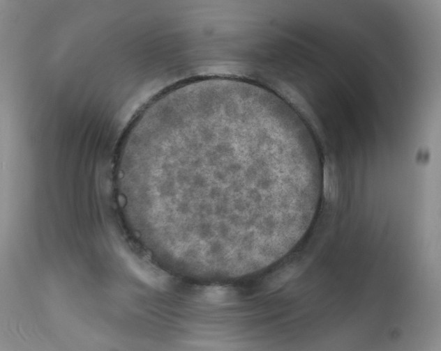 X0000111800204200909031237