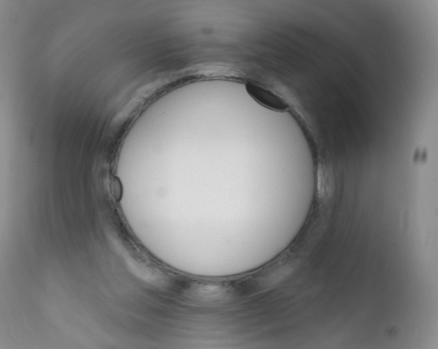 X0000111800205200909031237