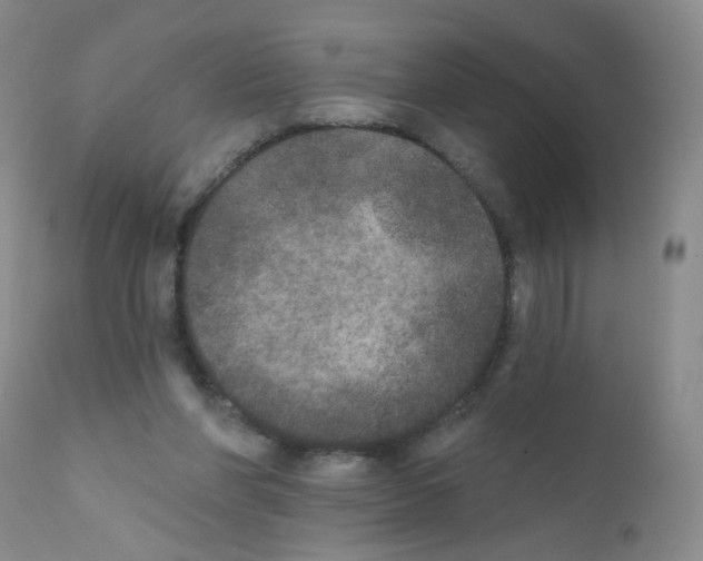 X0000111800206200909031237