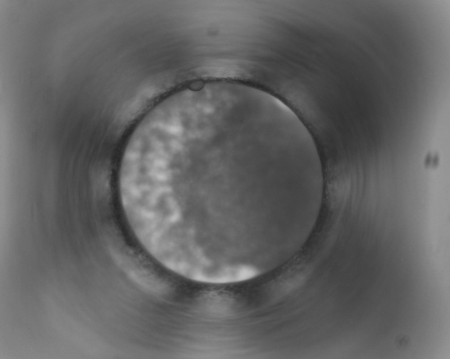 X0000111800207200909031237