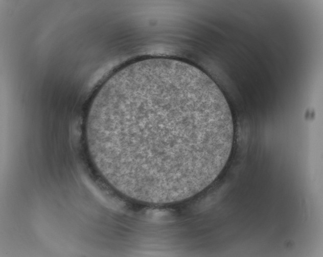X0000111800208200909031237