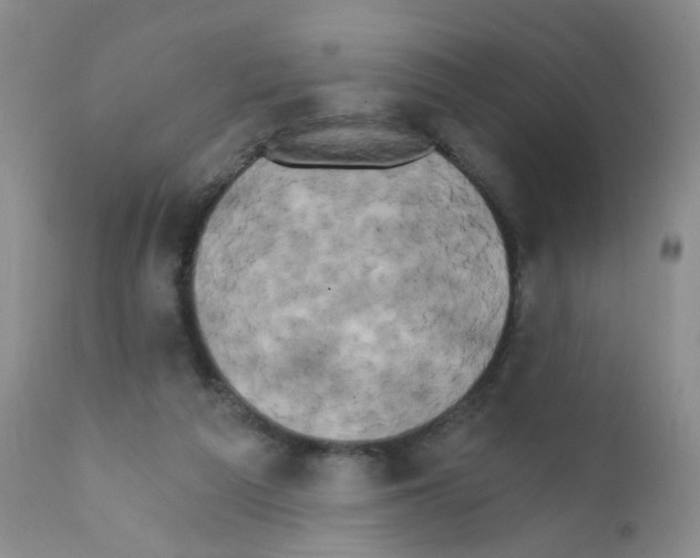 X0000111800209200909031237