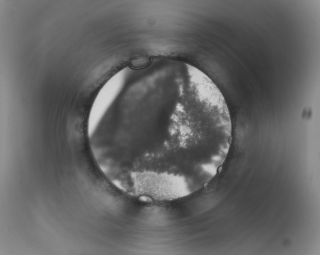 X0000111800211200909031237