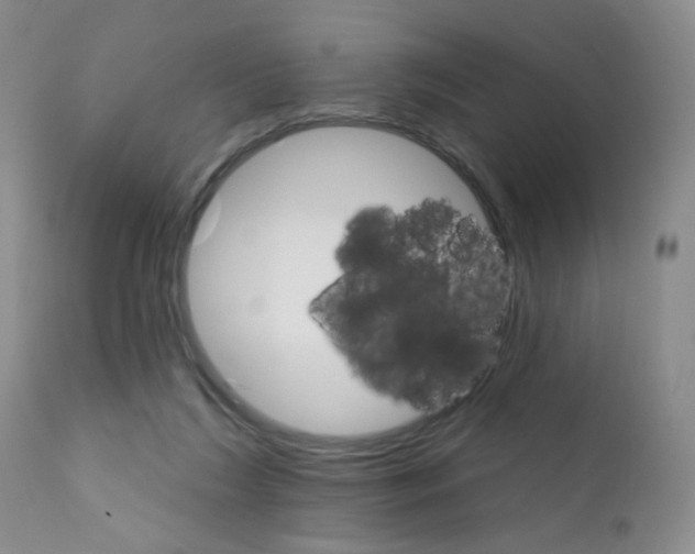 X0000111800212200909031236