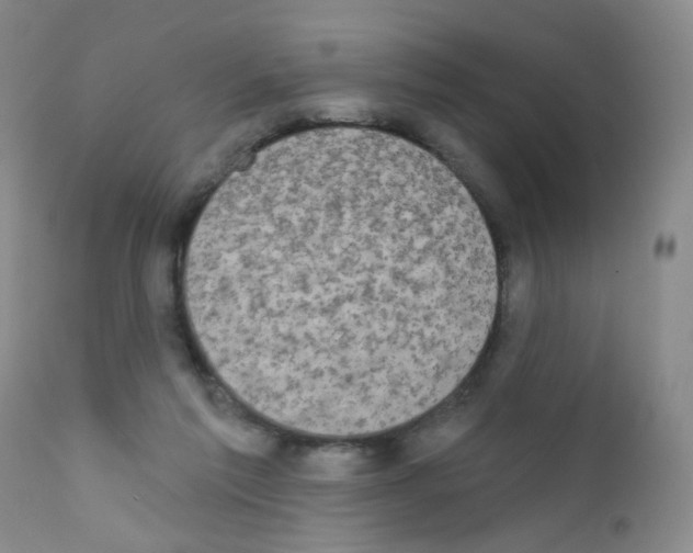 X0000111800213200909031236