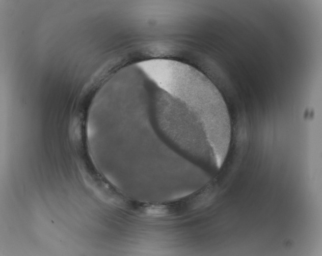 X0000111800214200909031236