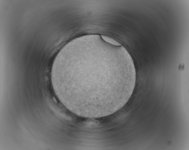 X0000111800215200909031236