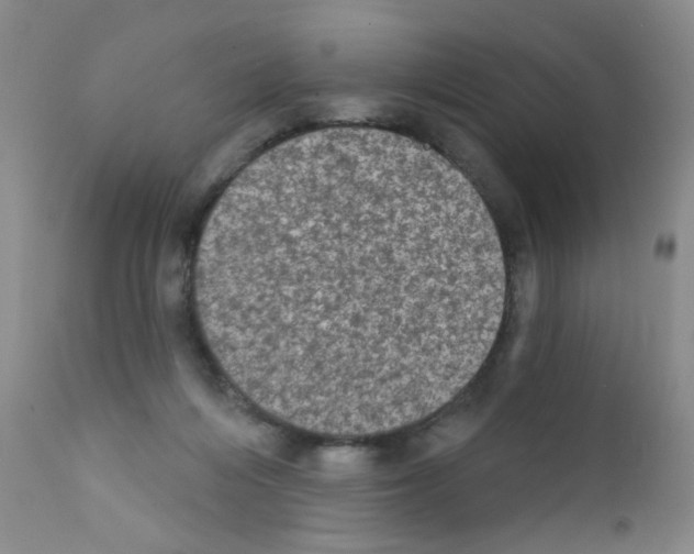 X0000111800216200909031236