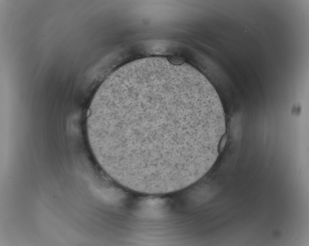 X0000111800217200909031236