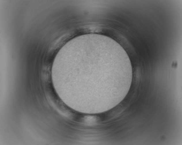 X0000111800218200909031236
