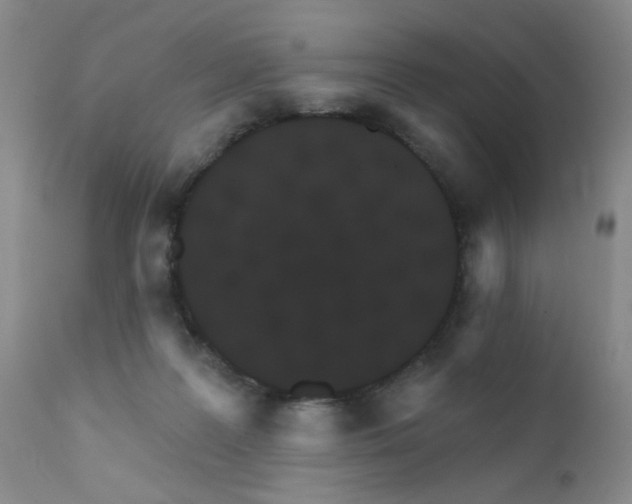 X0000111800219200909031236