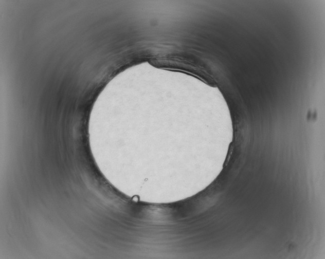 X0000111800221200909031236