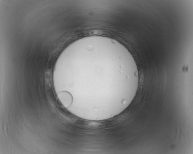 X0000111800222200909031236