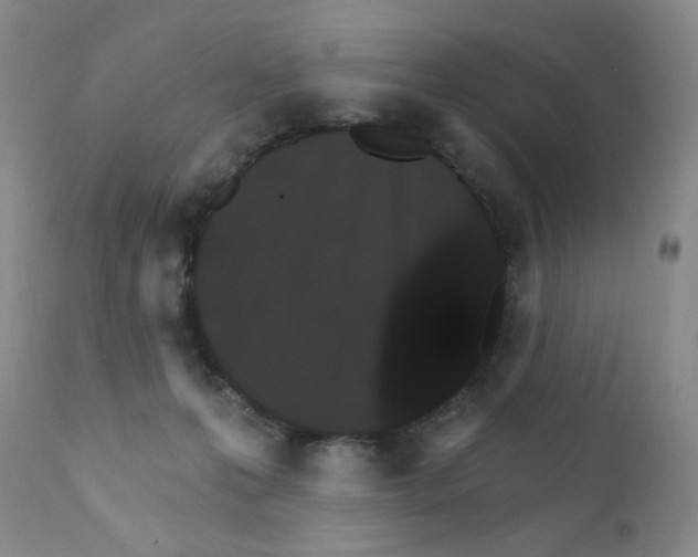 X0000111800223200909031236