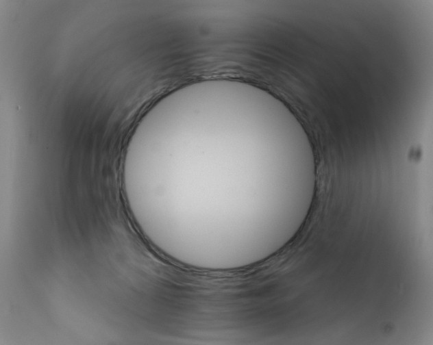 X0000111800224200909031236