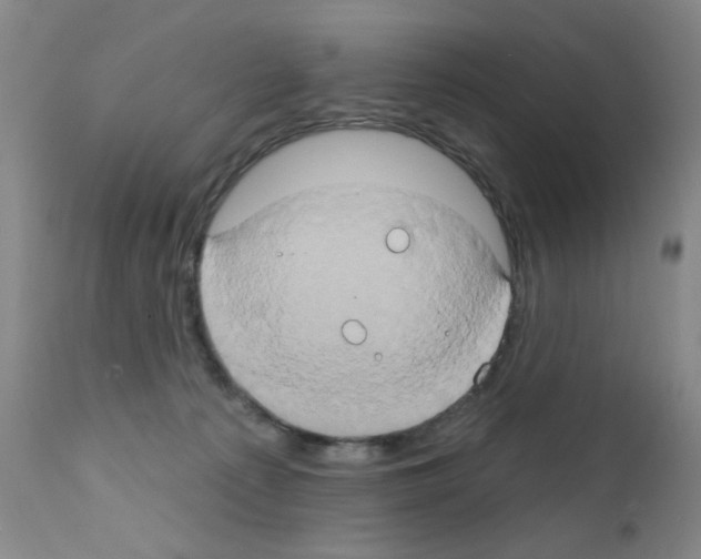 X0000111800225200909031236