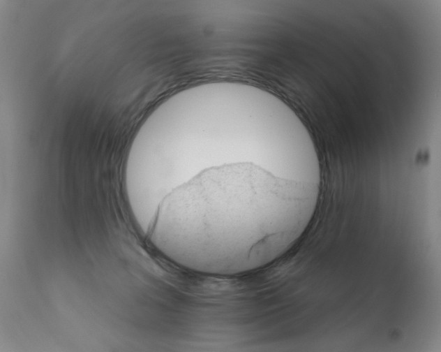 X0000111800227200909031236