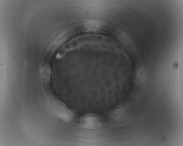 X0000111800228200909031236