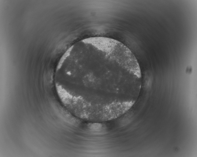 X0000111800230200909031236